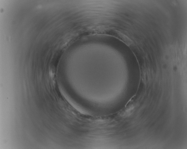 X0000077361010200611101633