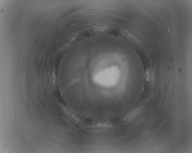 X0000077361011200611101633