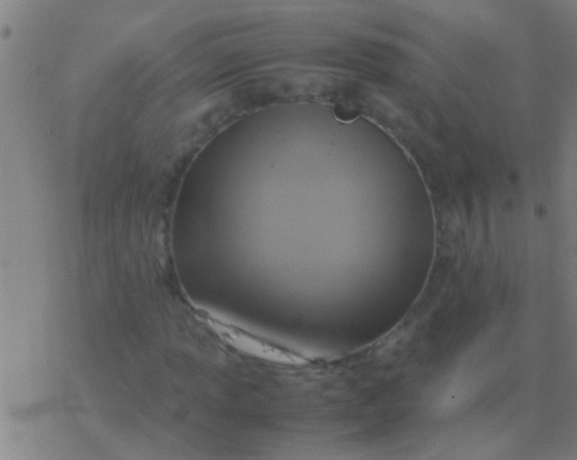 X0000077361013200611101633