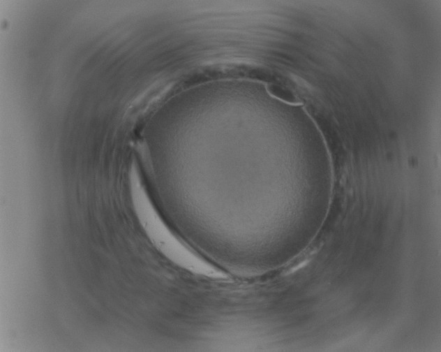 X0000077361014200611101634