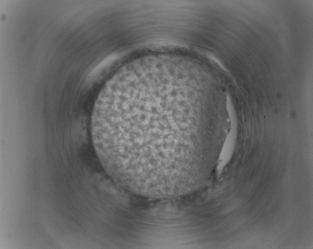 X0000077361016200611101634