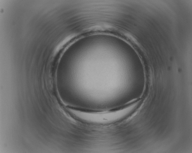 X0000077361018200611101634