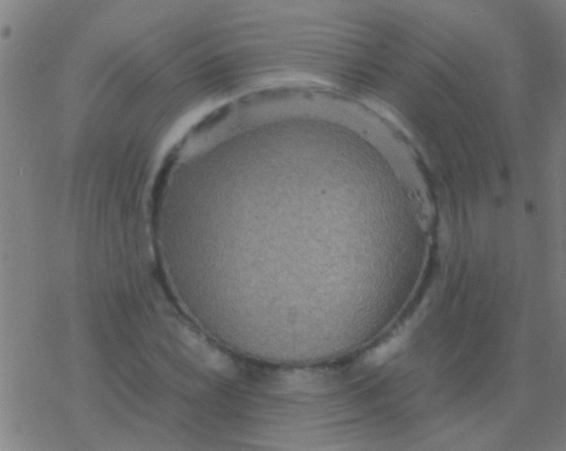 X0000077361022200611101634