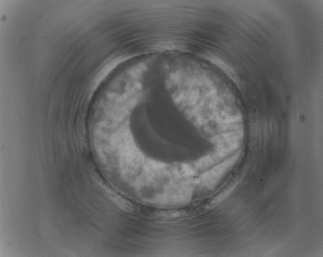 X0000077361023200611101634