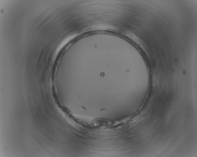 X0000077361024200611101634