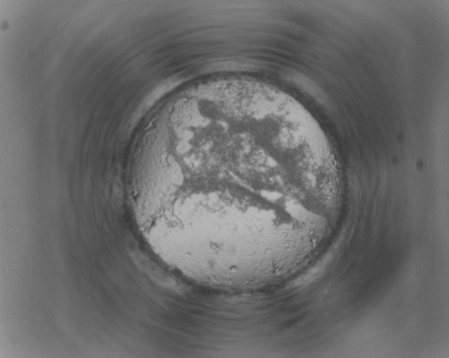 X0000077361025200611101634