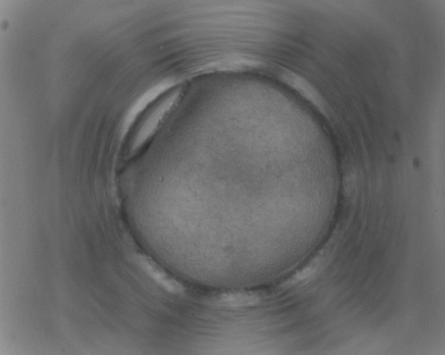 X0000077361026200611101634