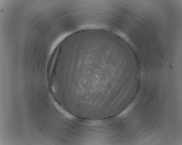 X0000077361030200611101634