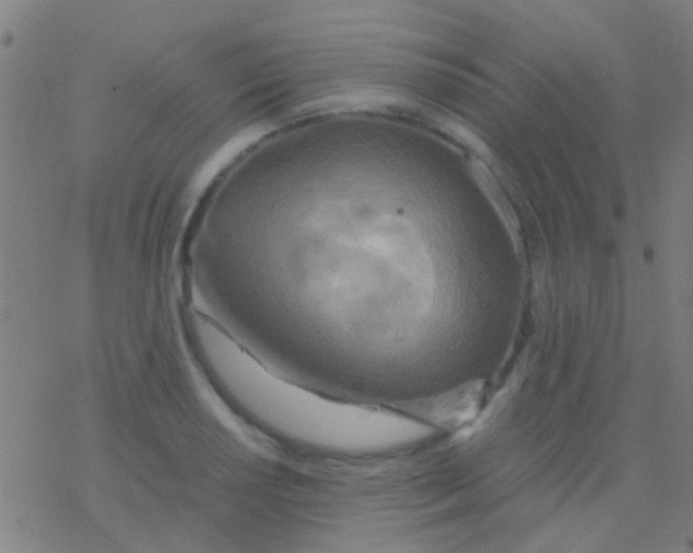 X0000077361034200611101634