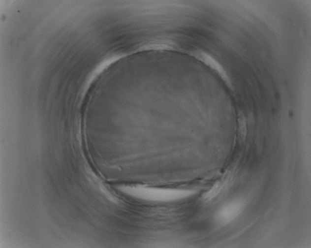 X0000077361035200611101634