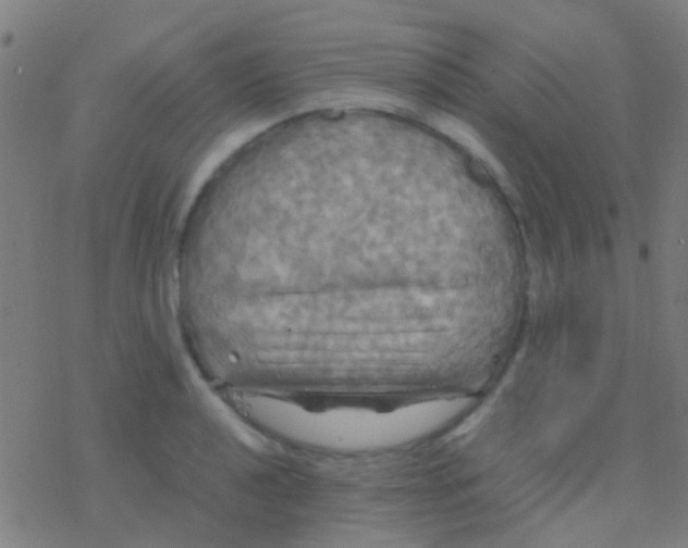 X0000077361040200611101634