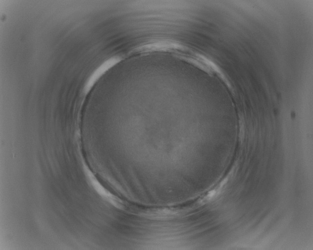 X0000077361042200611101634