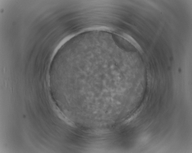 X0000077361044200611101634