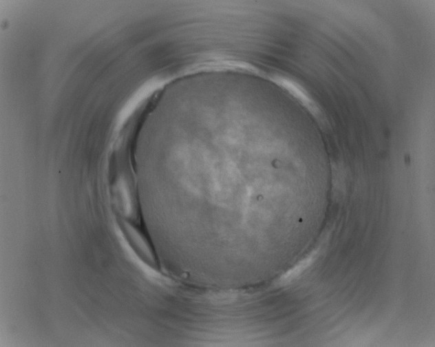 X0000077361046200611101634