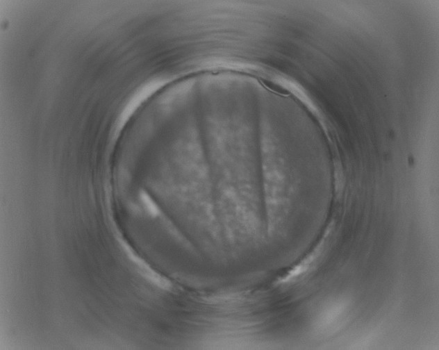 X0000077361048200611101634