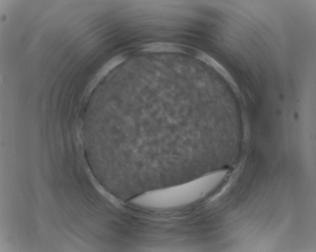 X0000077361049200611101634