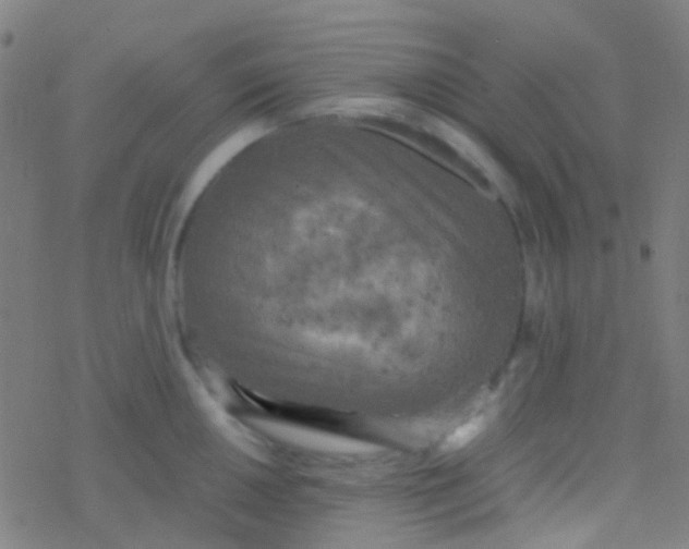 X0000077361050200611101634