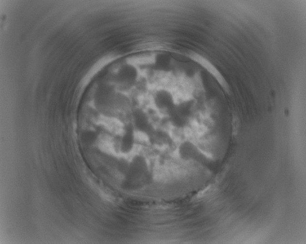 X0000077361051200611101634