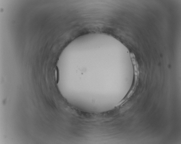 X0000077361057200611101633