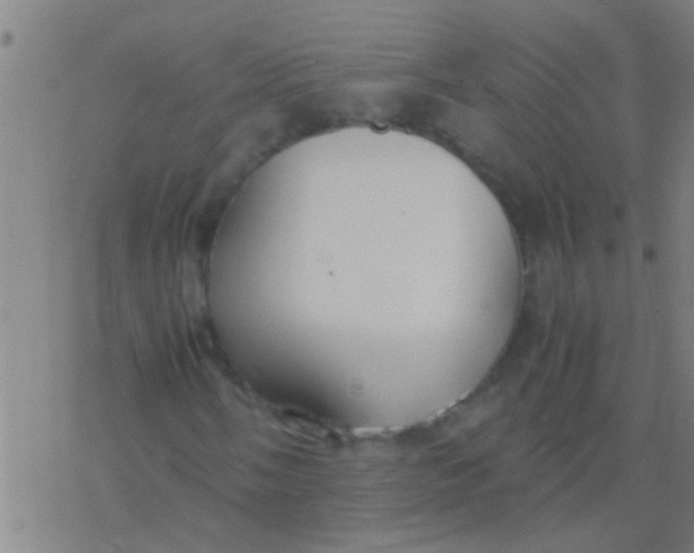 X0000077361058200611101633