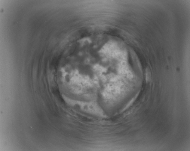 X0000077361059200611101633