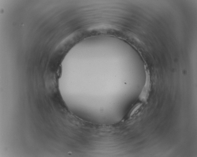 X0000077361062200611101633