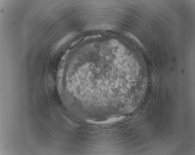 X0000077361064200611101633