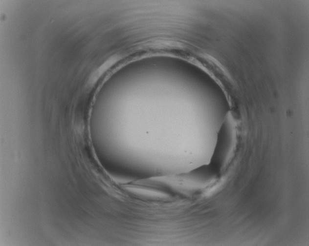 X0000077361065200611101633