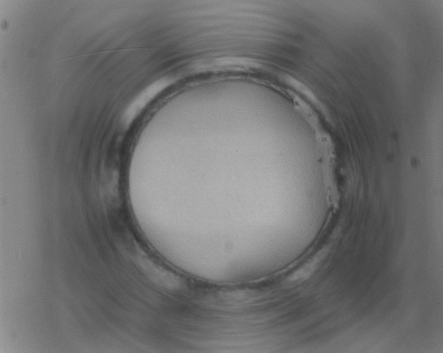 X0000077361066200611101633