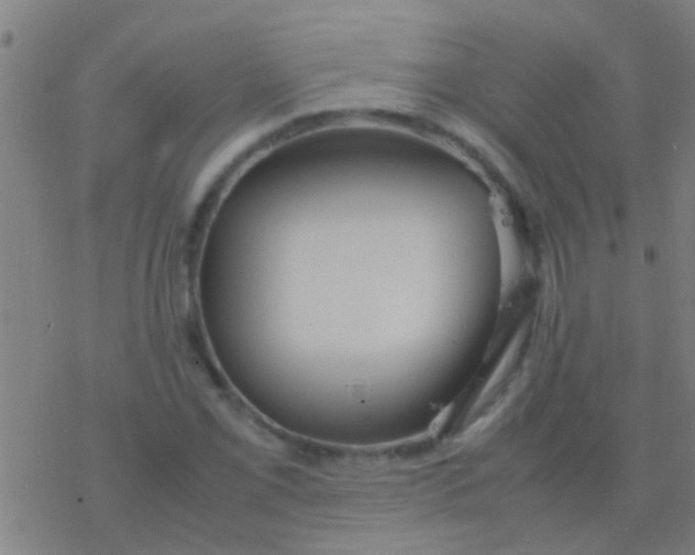 X0000077361069200611101633