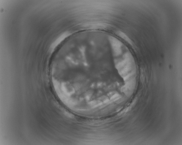 X0000077361071200611101633