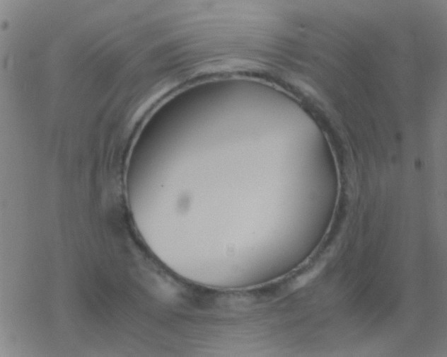 X0000077361073200611101633