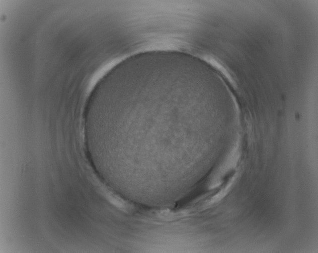 X0000077361077200611101633