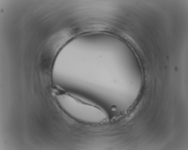 X0000077361081200611101633