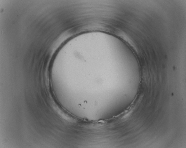 X0000077361082200611101633