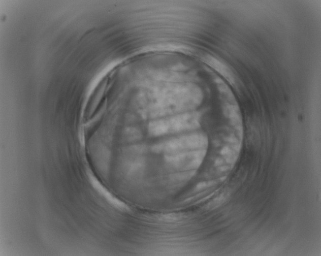 X0000077361084200611101633