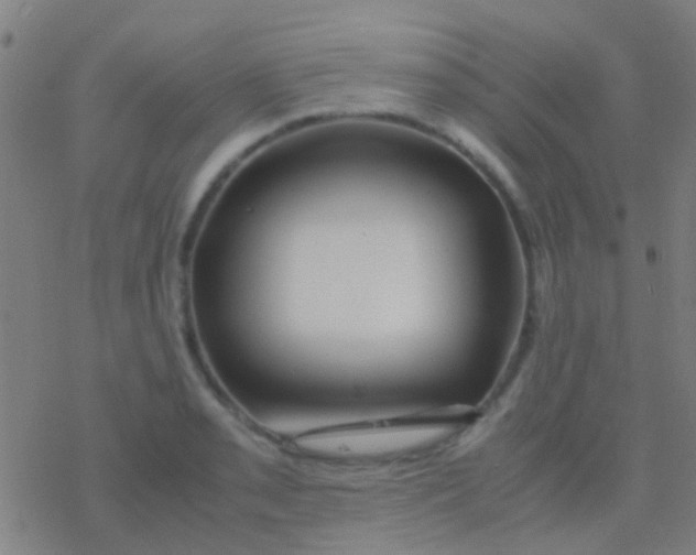 X0000077361085200611101633