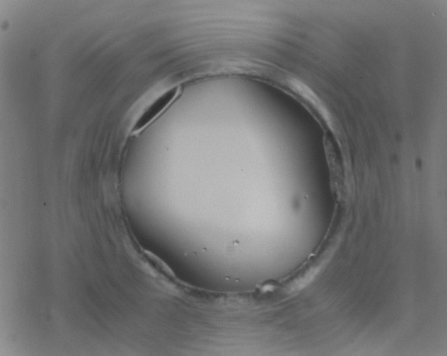 X0000077361089200611101633