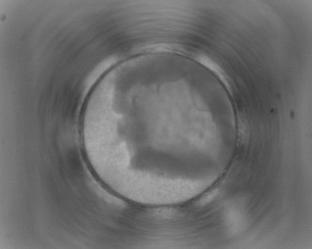 X0000077361090200611101633