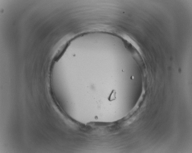 X0000077361093200611101633