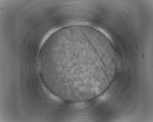 X0000077361094200611101633