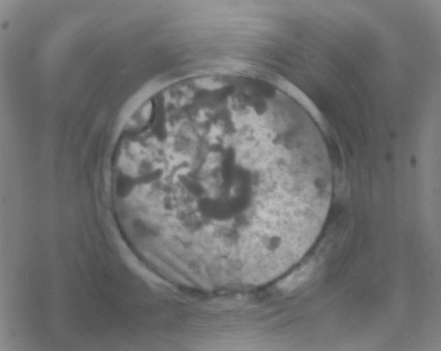 X0000077361099200611101633