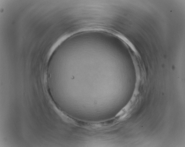 X0000077361101200611101633