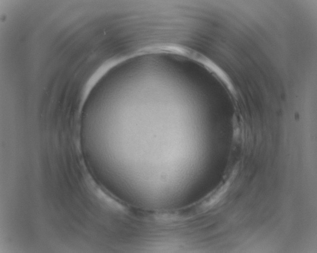 X0000077361102200611101633