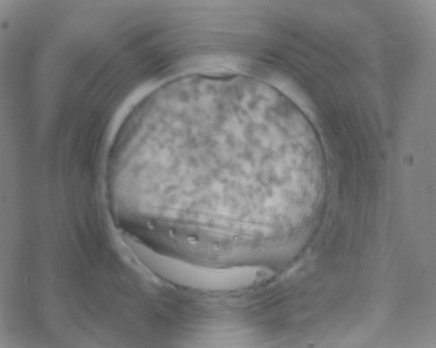 X0000077361104200611101633