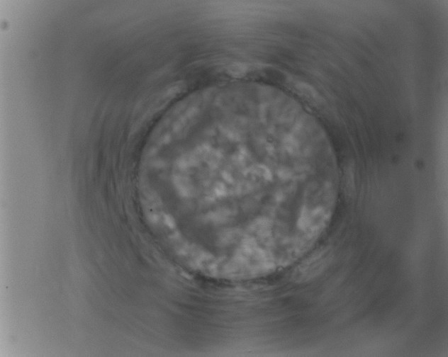 X0000077361105200611101632