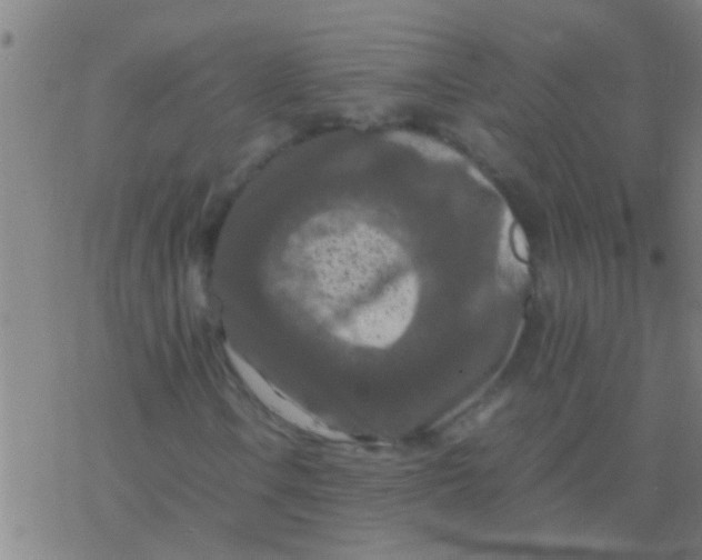 X0000077361106200611101632