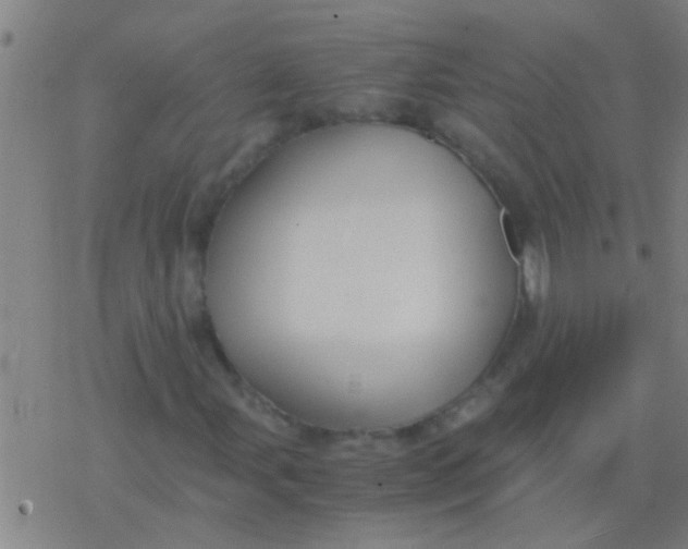 X0000077361107200611101632