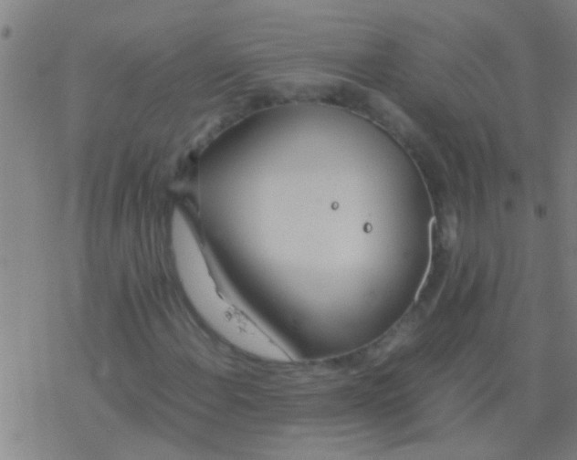 X0000077361108200611101632