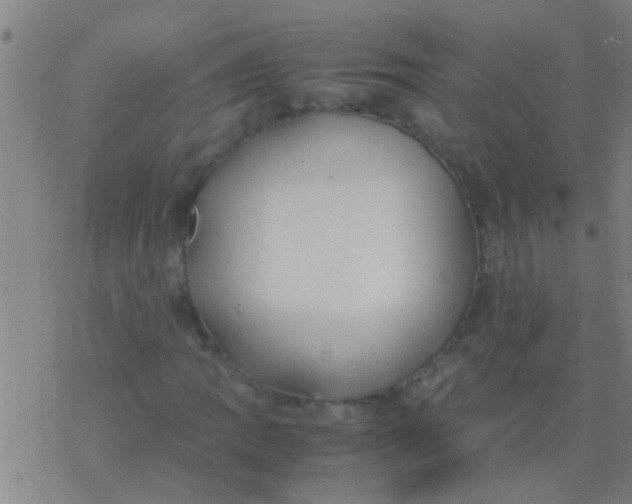 X0000077361109200611101632